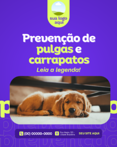 POST - Prevenção de pulgas e carrapatos